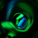 Image for article titled Shooting Challenge Free For All Gallery 1